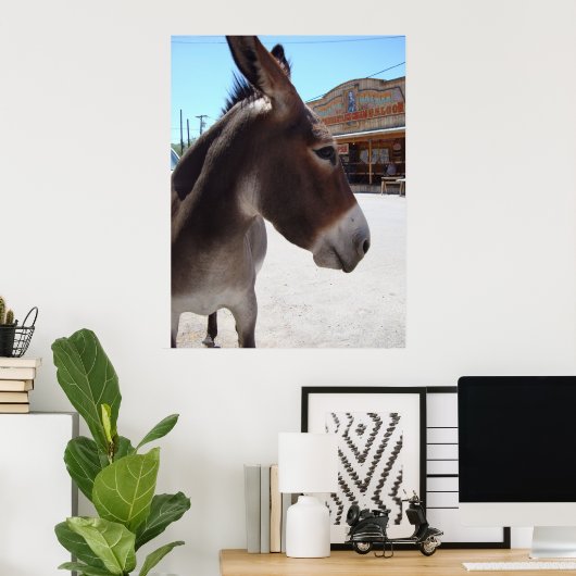 Jackass Poster (Heimbüro)