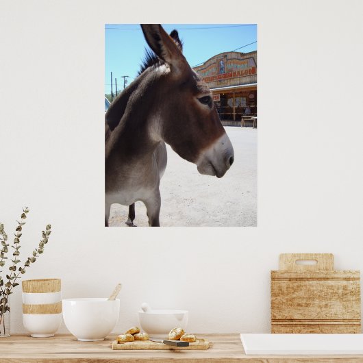 Jackass Poster (Küche)