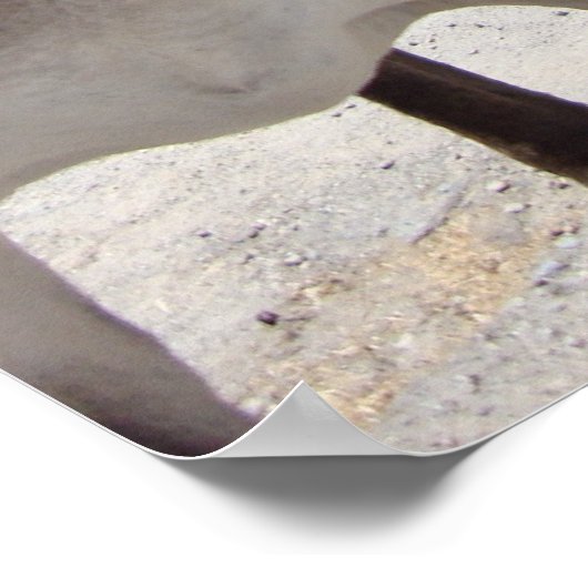 Jackass Poster (Ecke)