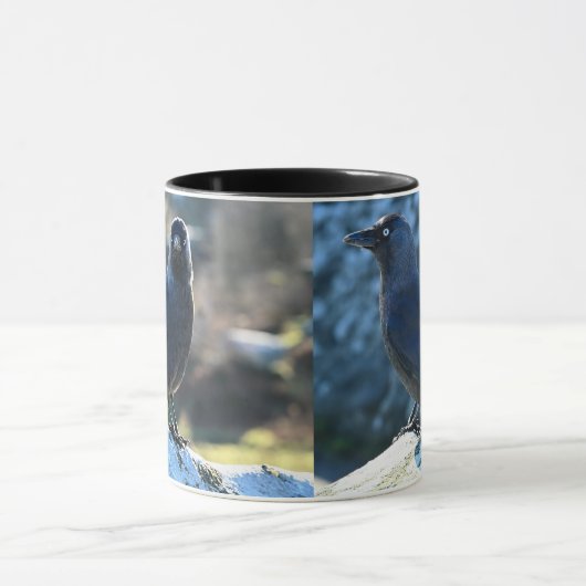 Jackdaw duo tasse (Zentrum)