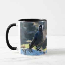 Jackdaw duo tasse