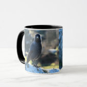 Jackdaw duo tasse (Vorderseite Links)