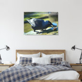 Jackdaw-Essen Leinwanddruck (Insitu (Schlafzimmer))