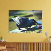 Jackdaw-Essen Leinwanddruck (Insitu (Wohnzimmer))