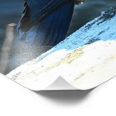 Jackdaw Fotodruck (Ecke)