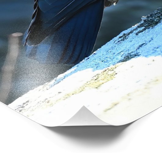 Jackdaw Fotodruck (Ecke)