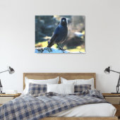 Jackdaw Leinwanddruck (Insitu (Schlafzimmer))