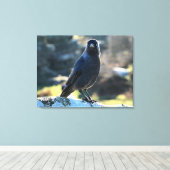Jackdaw Leinwanddruck (Insitu (Holzboden))