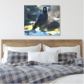 Jackdaw Leinwanddruck (Insitu (Schlafzimmer))
