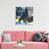 Jackdaw Leinwanddruck (Insitu (Wohnzimmer))