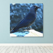 Jackdaw Leinwanddruck (Insitu (Holzboden))