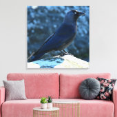 Jackdaw Leinwanddruck (Insitu (Wohnzimmer))