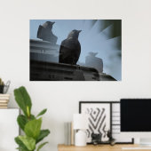 Jackdaw Poster (Heimbüro)