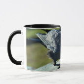 Jackdaw Tasse (Links)