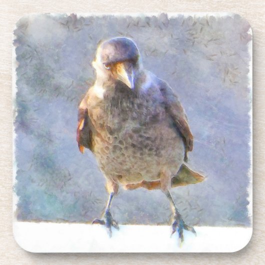 Jackdaw Watercolor Getränkeuntersetzer (Vorderseite)