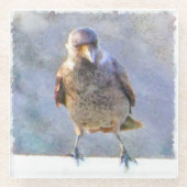 Jackdaw Watercolor Glasuntersetzer (Vorderseite)