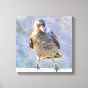 Jackdaw Watercolor Leinwanddruck