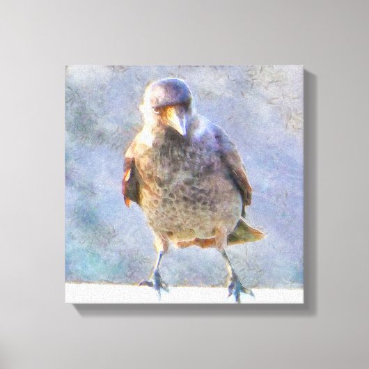 Jackdaw Watercolor Leinwanddruck (Vorderseite)