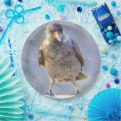 Jackdaw Watercolor Pappteller (Party)