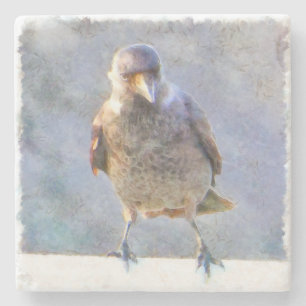 Jackdaw Watercolor Steinuntersetzer