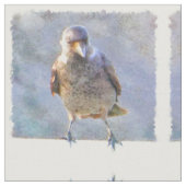 Jackdaw Watercolor Stoff (Nahaufnahme)