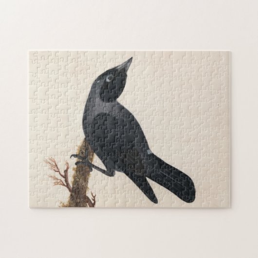 Jackdaw | William Lewin Puzzle (Horizontal)