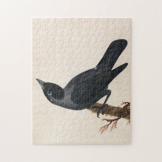 Jackdaw | William Lewin Puzzle (Vertikal)