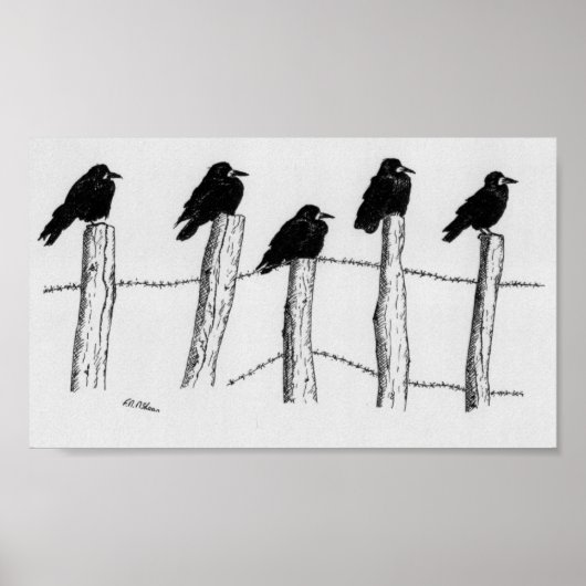 Jackdaws Poster (Vorne)