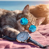 Jacket mit Vibe Jeansjacke