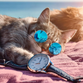 Jacket mit Vibe Jeansjacke