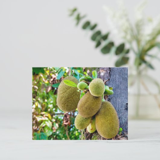 Jackfrucht Postkarte (Stehend Vorderseite)