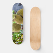 Jackfrucht Skateboard (Vorderseite)