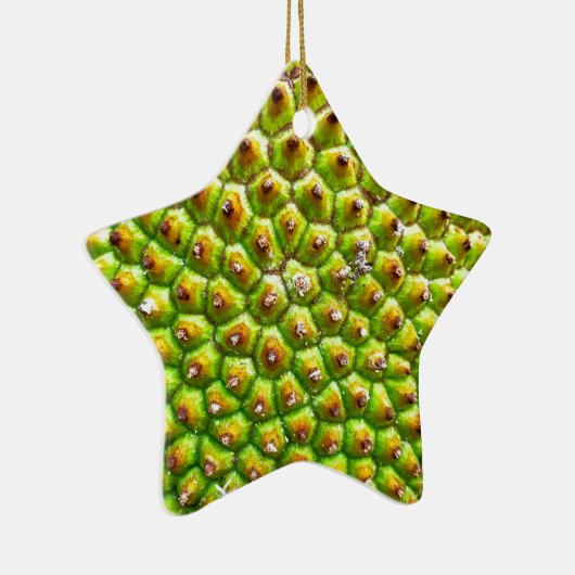 Jackfruit-Sided Star Ornament (Rechts)