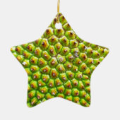 Jackfruit-Sided Star Ornament (Vorne)