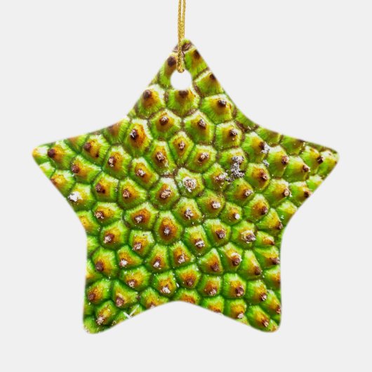 Jackfruit-Sided Star Ornament (Vorne)