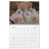 Jackie & Sassy's Wild & Krazy Adventures Kalender (Mär 2027)