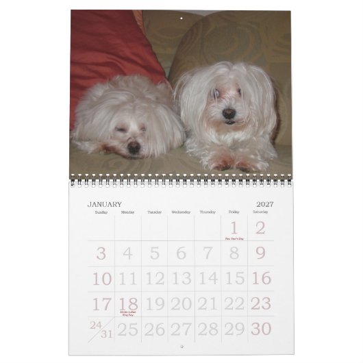 Jackie & Sassy's Wild & Krazy Adventures Kalender (Jan 2027)