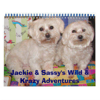Jackie & Sassy's Wild & Krazy Adventures Kalender