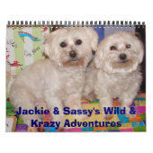 Jackie & Sassy's Wild & Krazy Adventures Kalender (Titelbild)