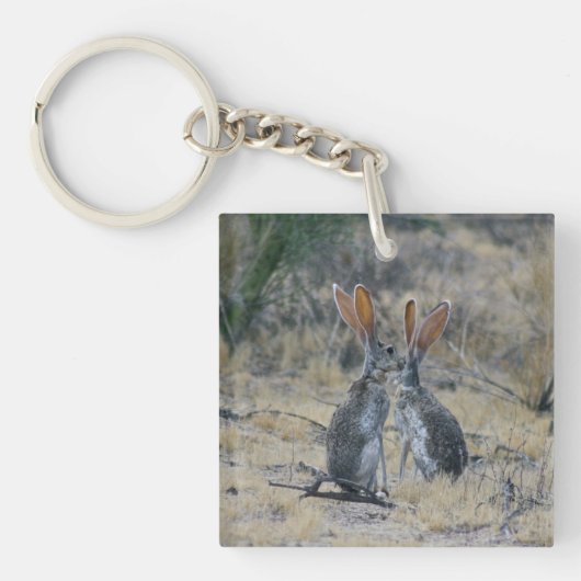 Jackkaninchen Akylic Schlüsselanhänger (Vorderseite)