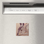 Jackkaninchen Magnet (In Situ (Geschirrspüler))