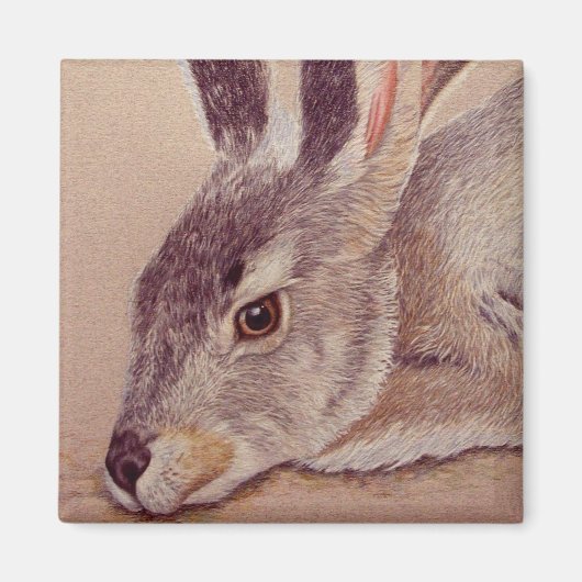 Jackkaninchen Magnet (Vorne)