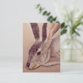 Jackkaninchen Postkarte (Stehend Vorderseite)