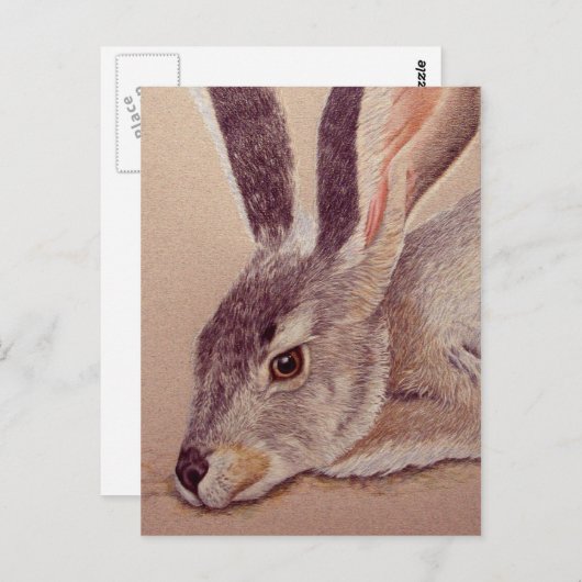 Jackkaninchen Postkarte (Vorne/Hinten)