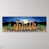 Jackrabbit Familienwüste Moon Night Poster (Vorne)