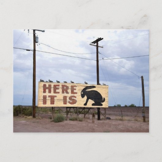 Jackrabbit Trading Post Route 66 Postkarte (Vorderseite)