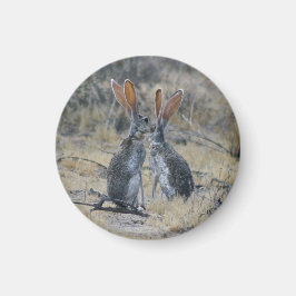 Jackrabbits Magnet