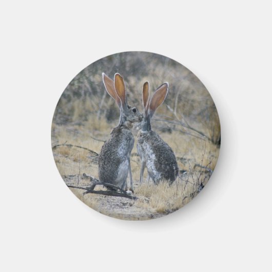 Jackrabbits Magnet (Vorne)