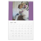 Jackrussell Kalender (Mär 2027)