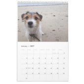 Jackrussell Kalender (Jan 2027)